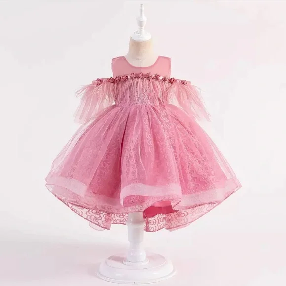 Luxury Pink Feather Lace Embroidered Dress 5046 - Picture 1 of 7